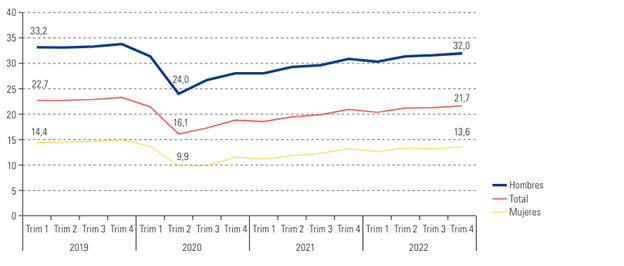 Grafico 12